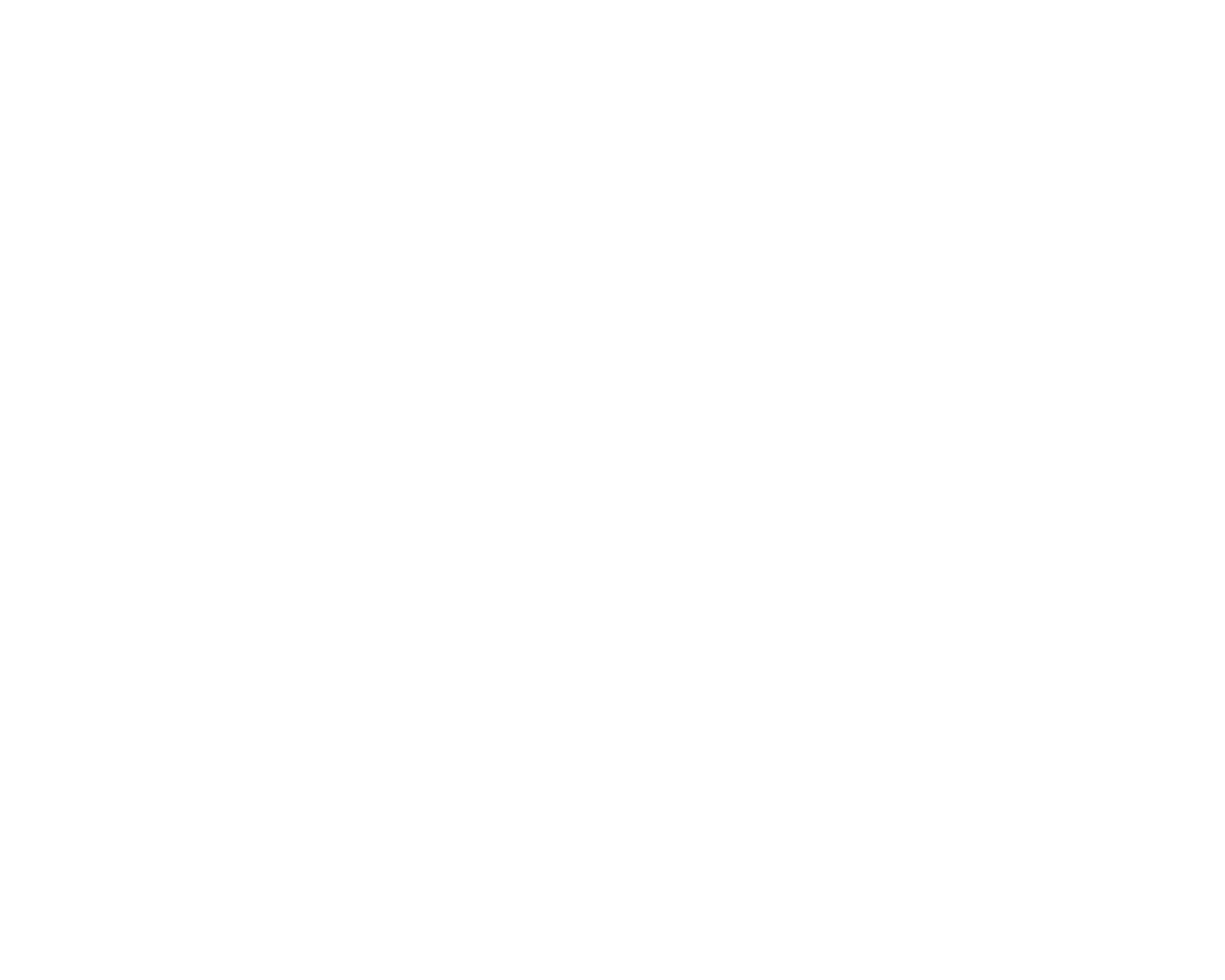 Dynamic Discs