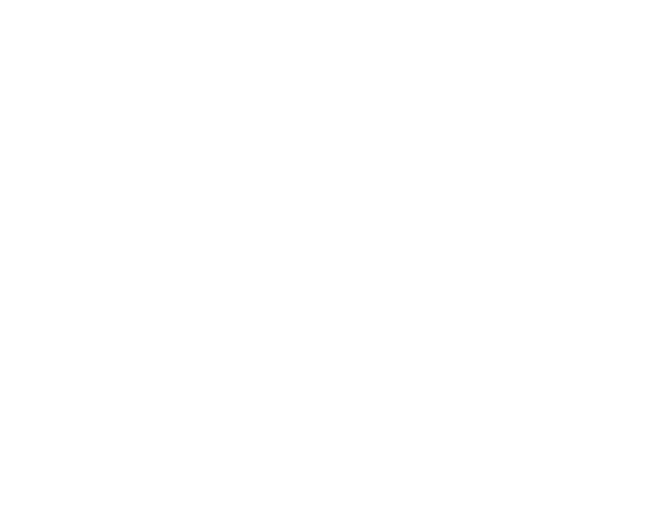 MVP Disc Sports