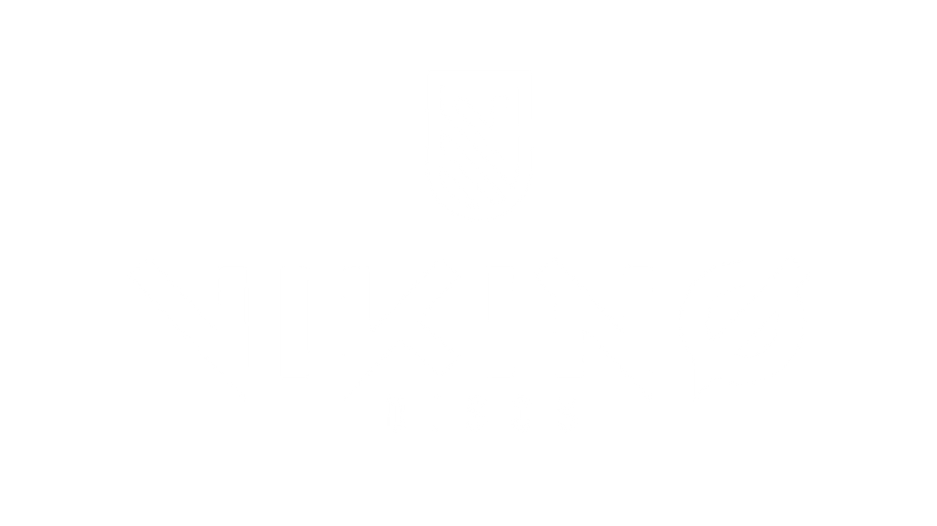 Viking Discs
