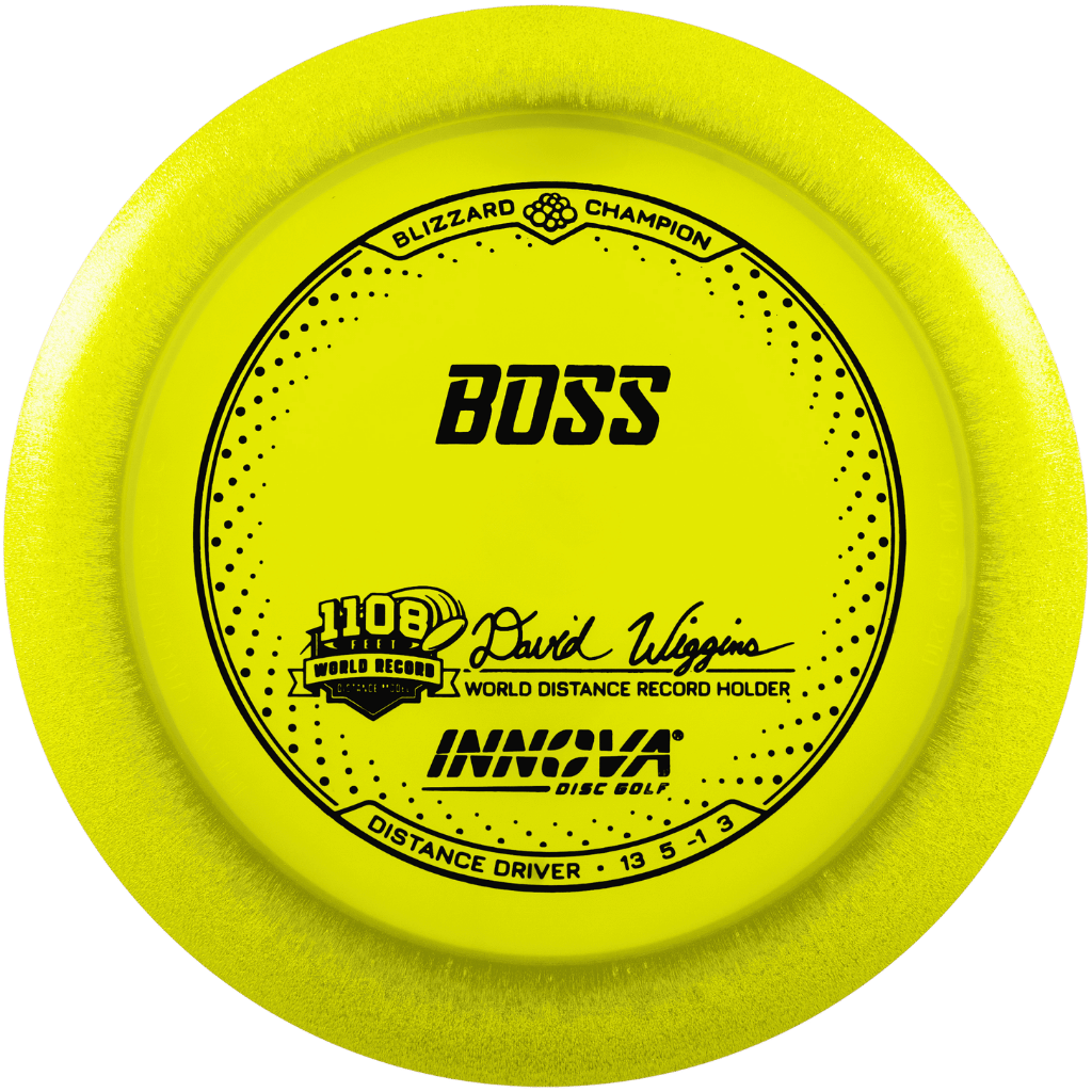 Blizzard Champion Boss - David Wiggins