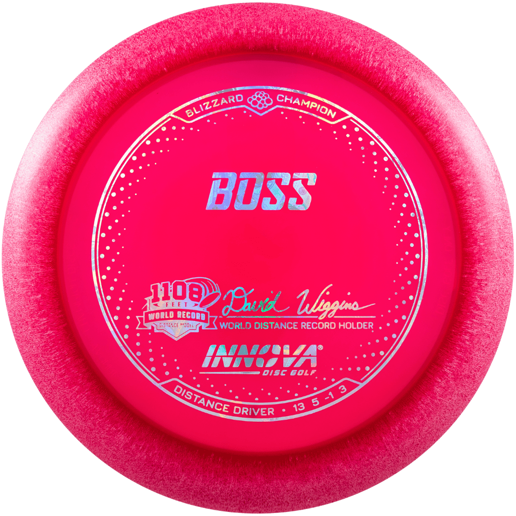 Blizzard Champion Boss - David Wiggins