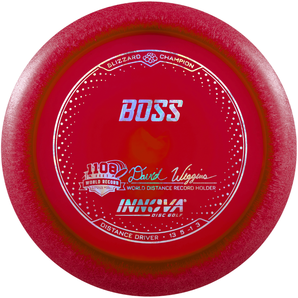 Blizzard Champion Boss - David Wiggins