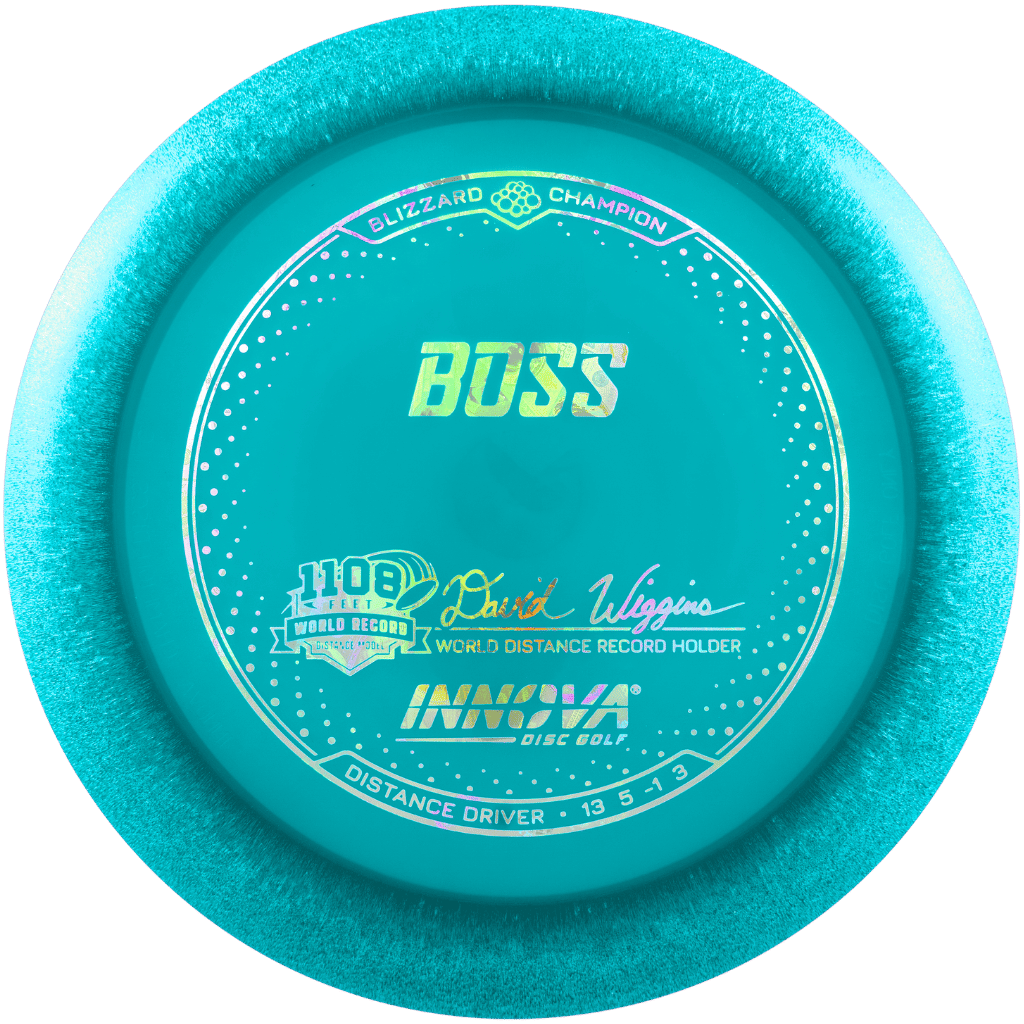 Blizzard Champion Boss - David Wiggins