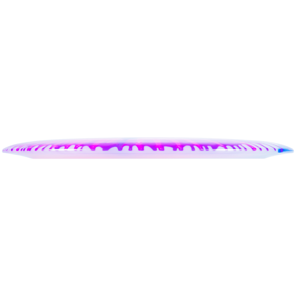 I-Dye Champion Boss