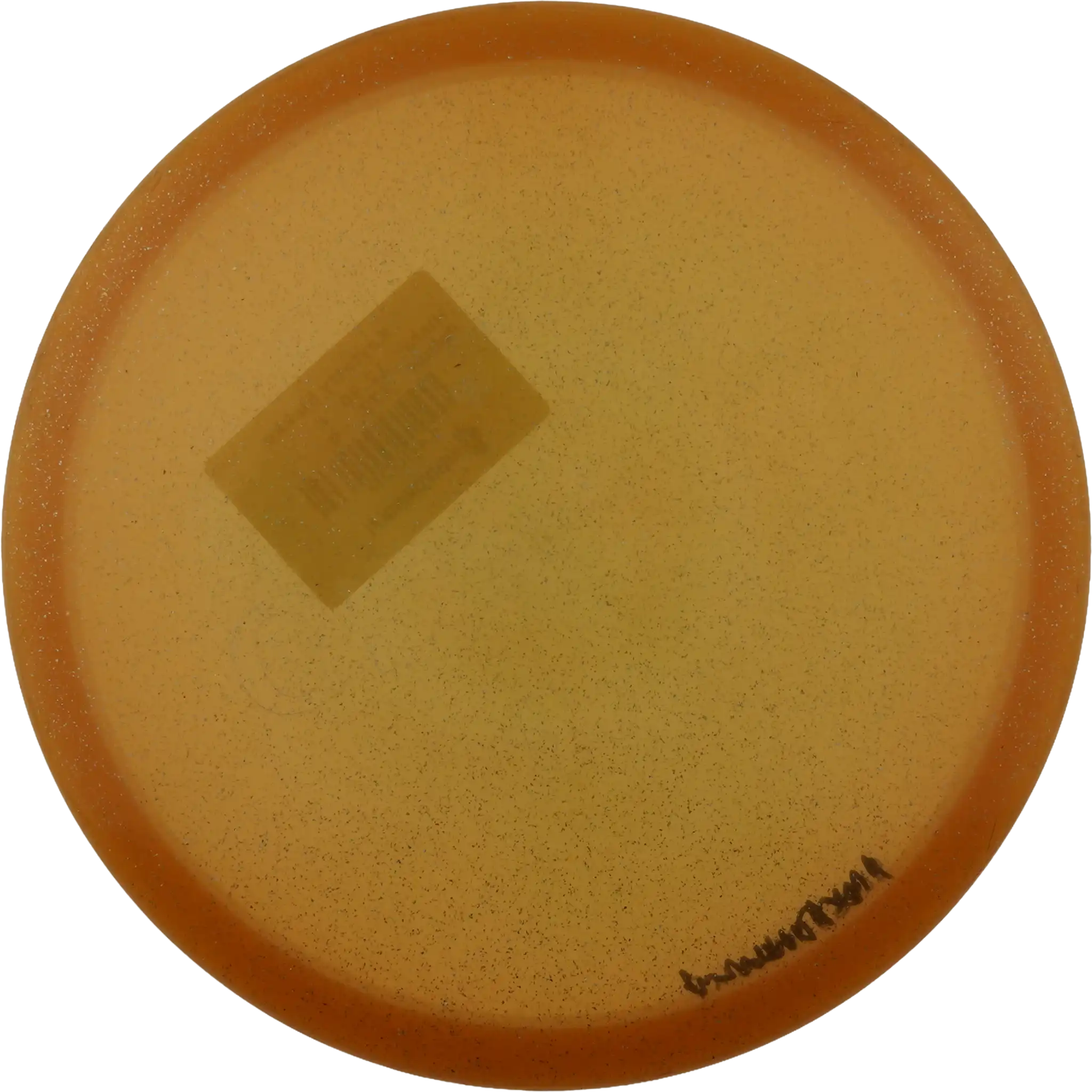 Steady Mango - Prototype