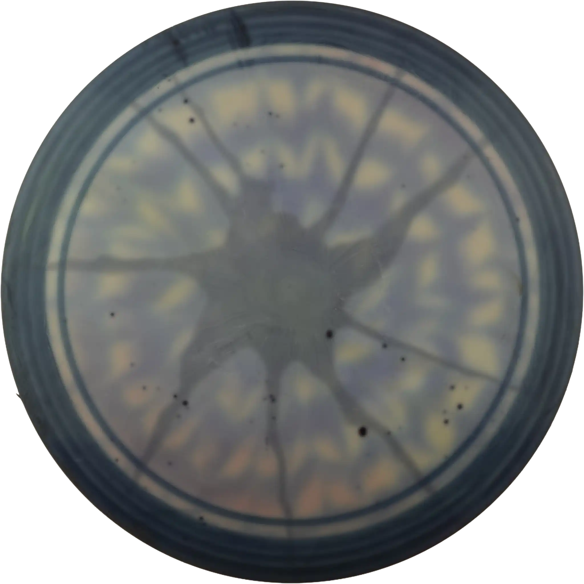 Fuzion Trespass - Dyed