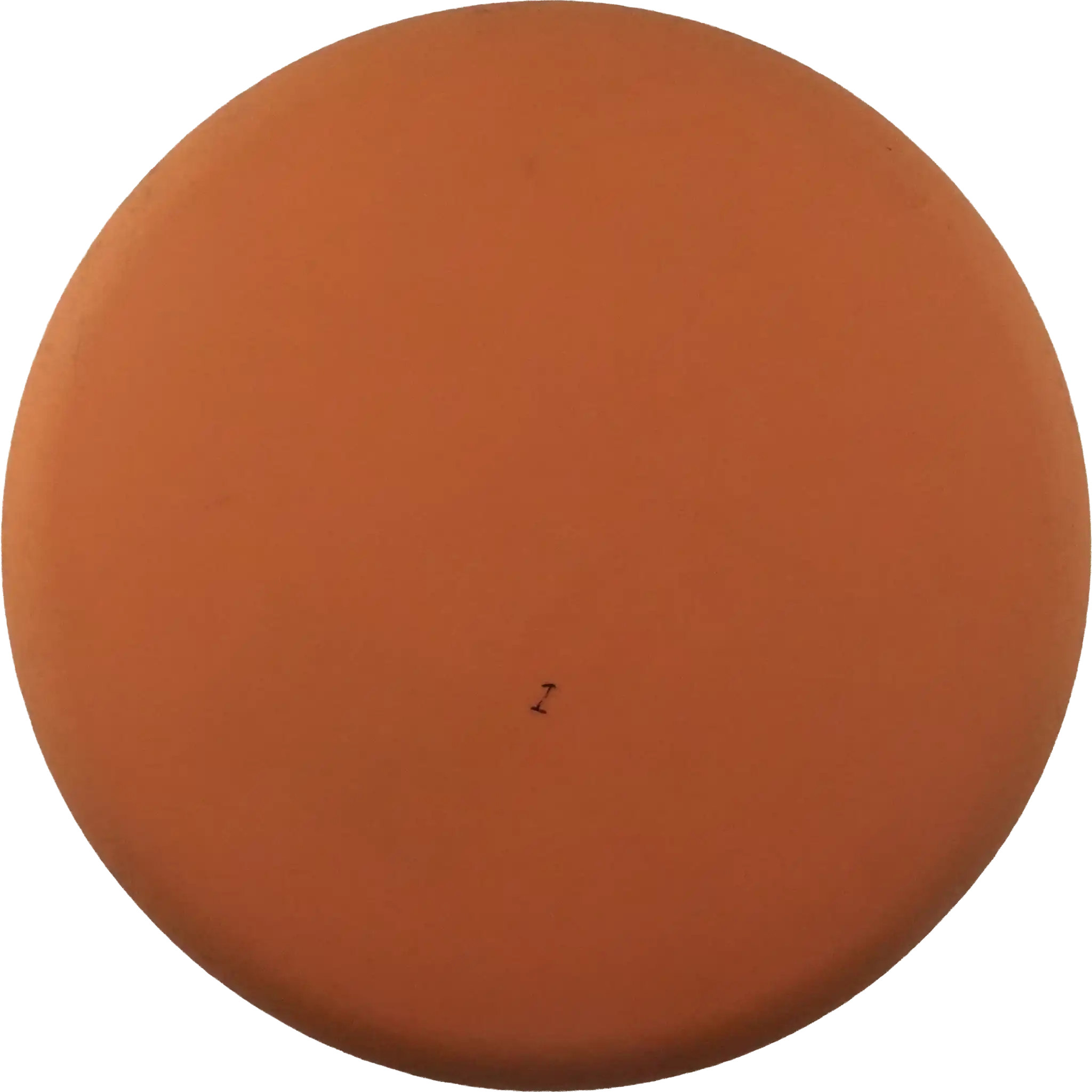 BaseGrip P Model S