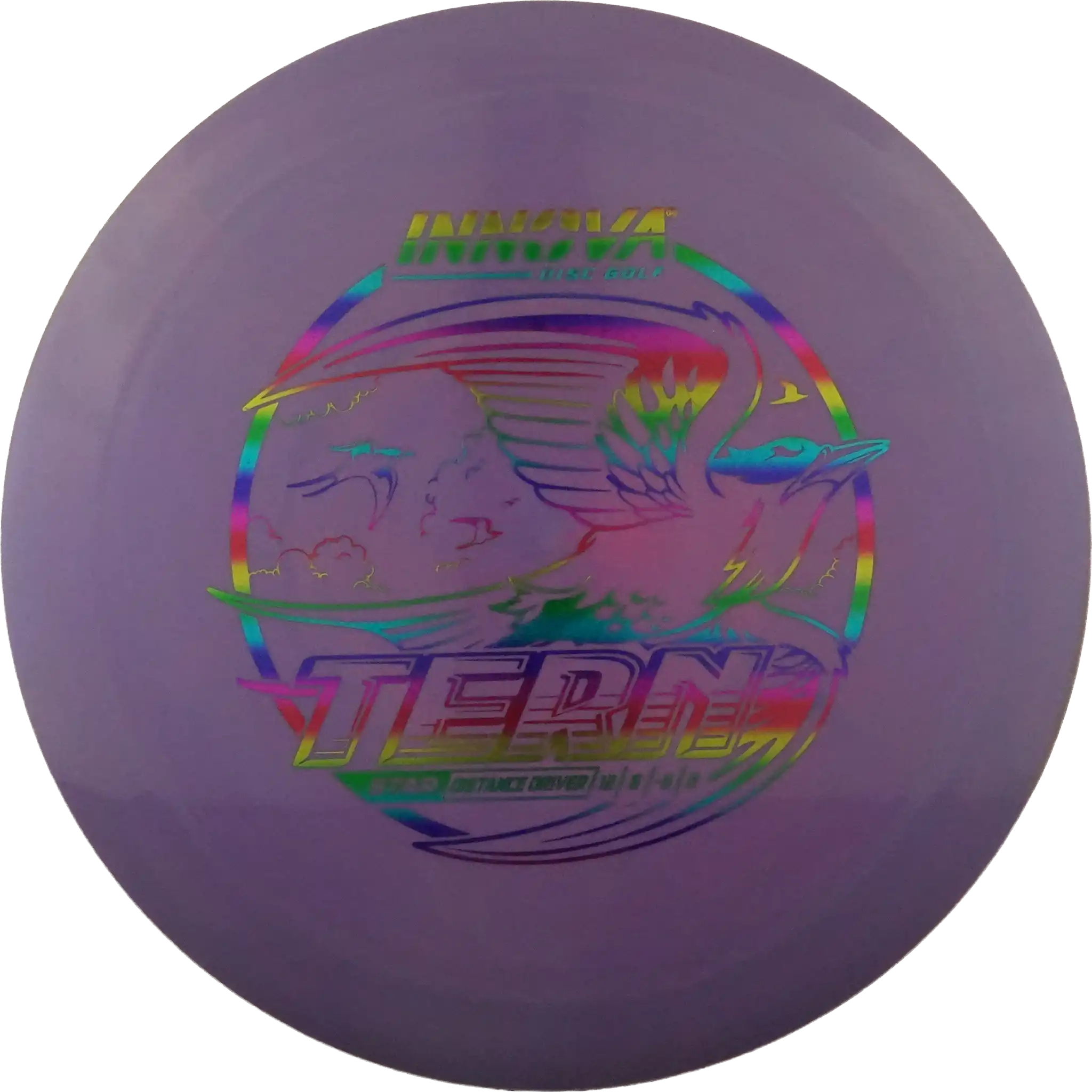 Star Tern