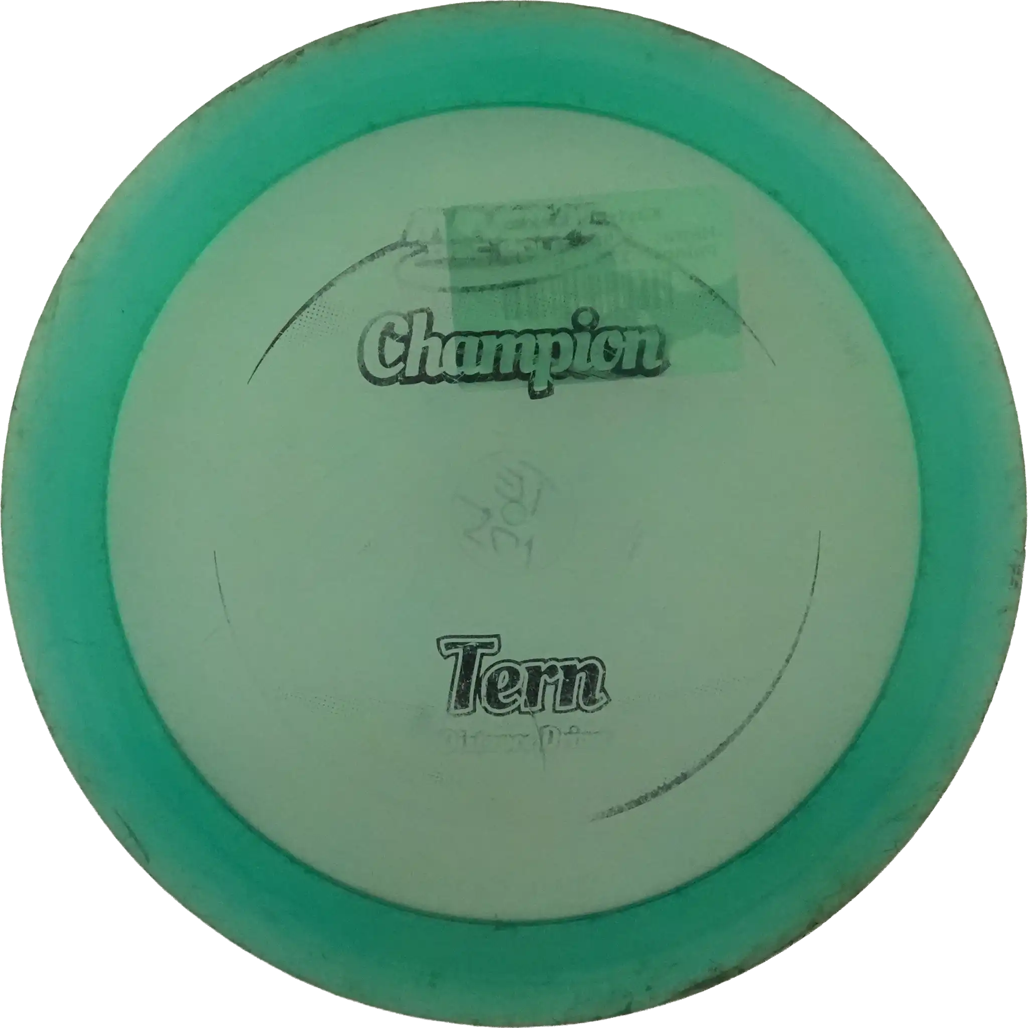 Champion Tern