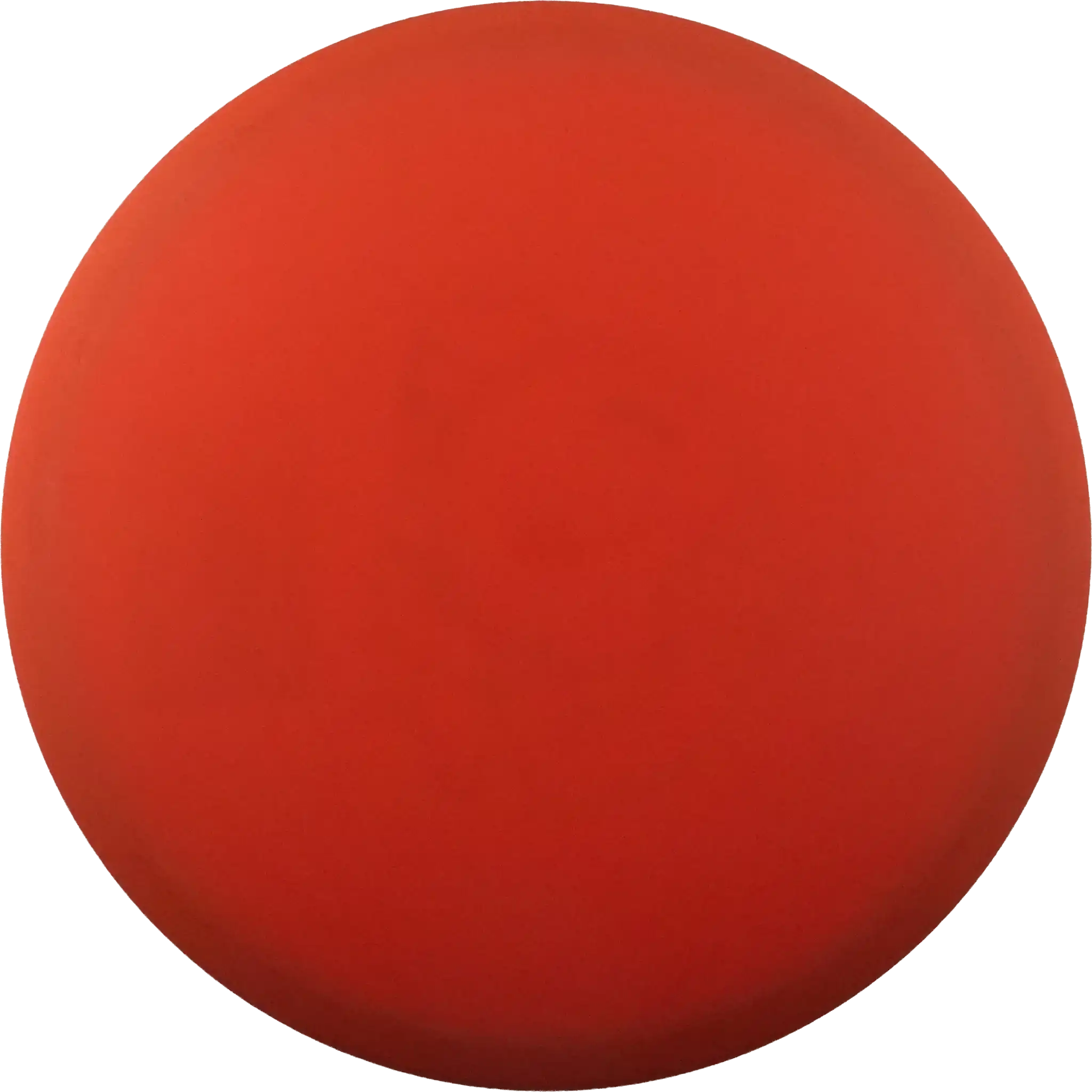 Pro Roc - Bottom Stamp