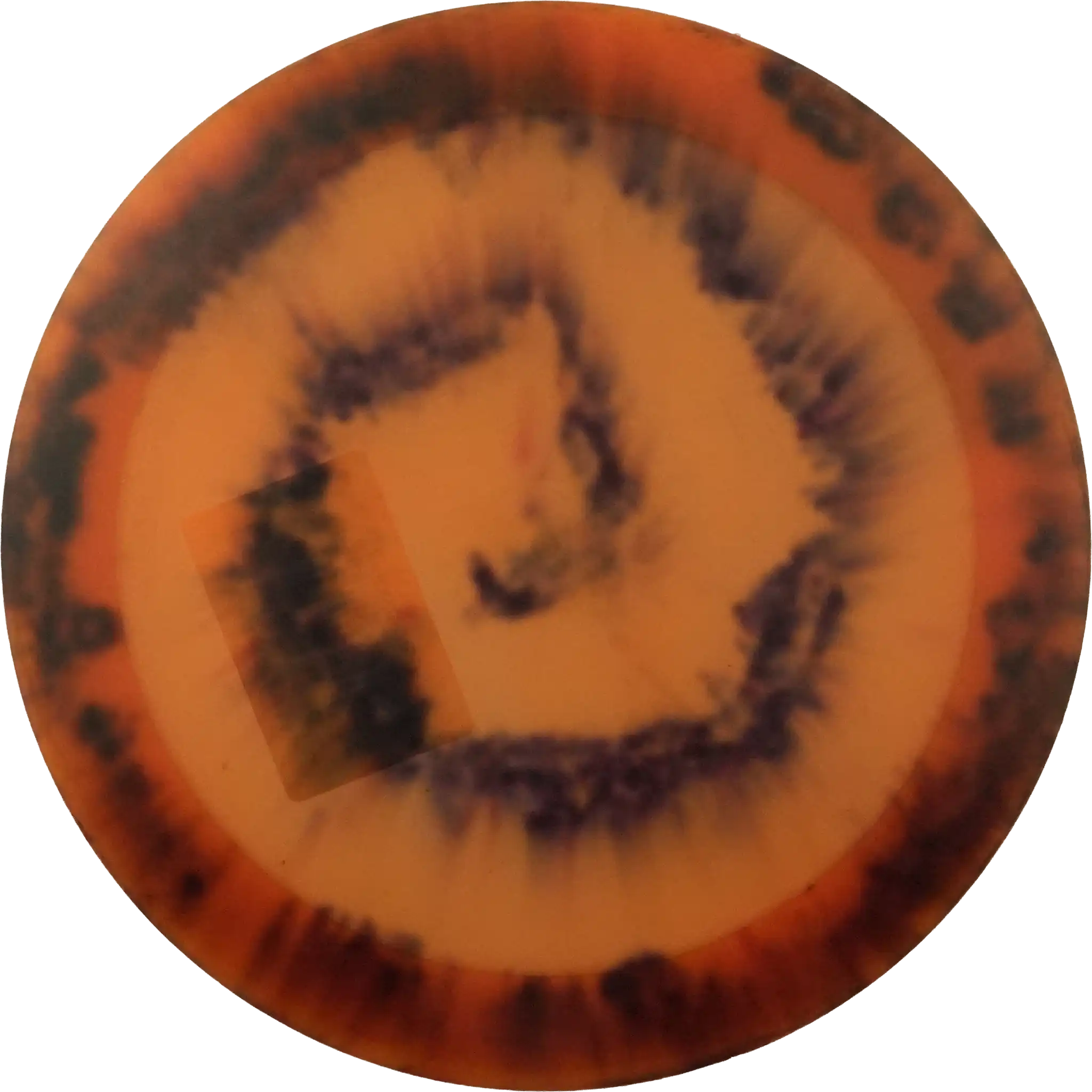 Champion Destroyer - Dyed