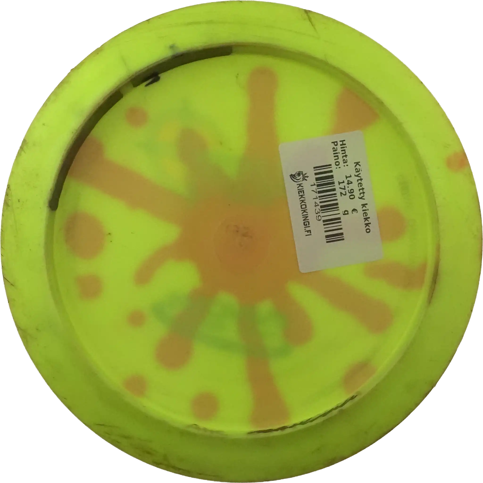 Star Tern - Dyed