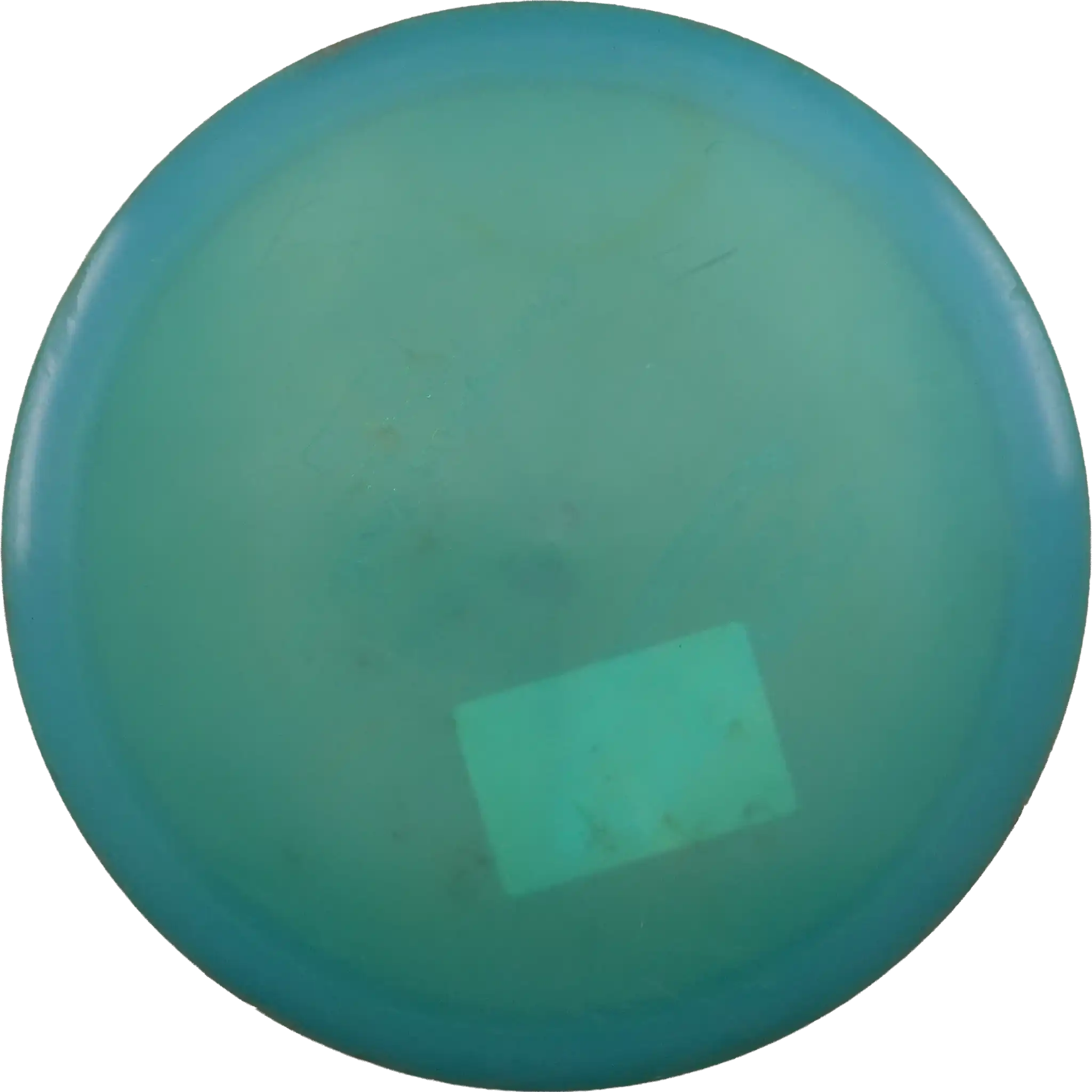 Champion Teebird
