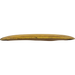 Echo Star Tern