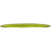 Champion Tern