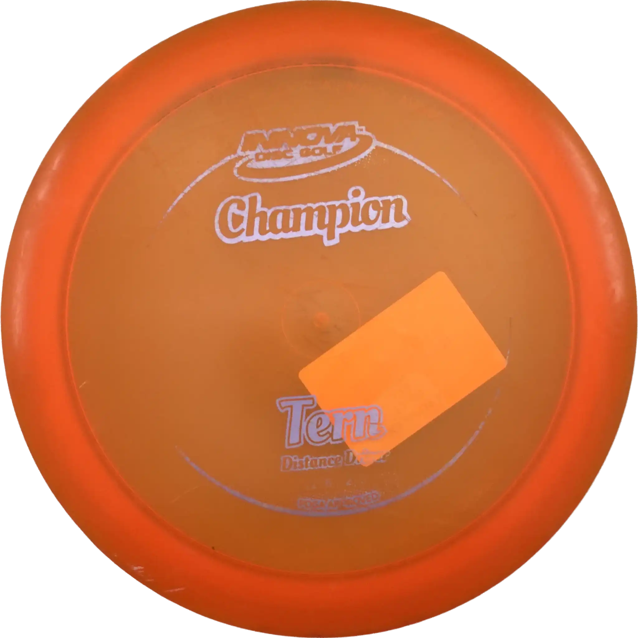 Champion Tern