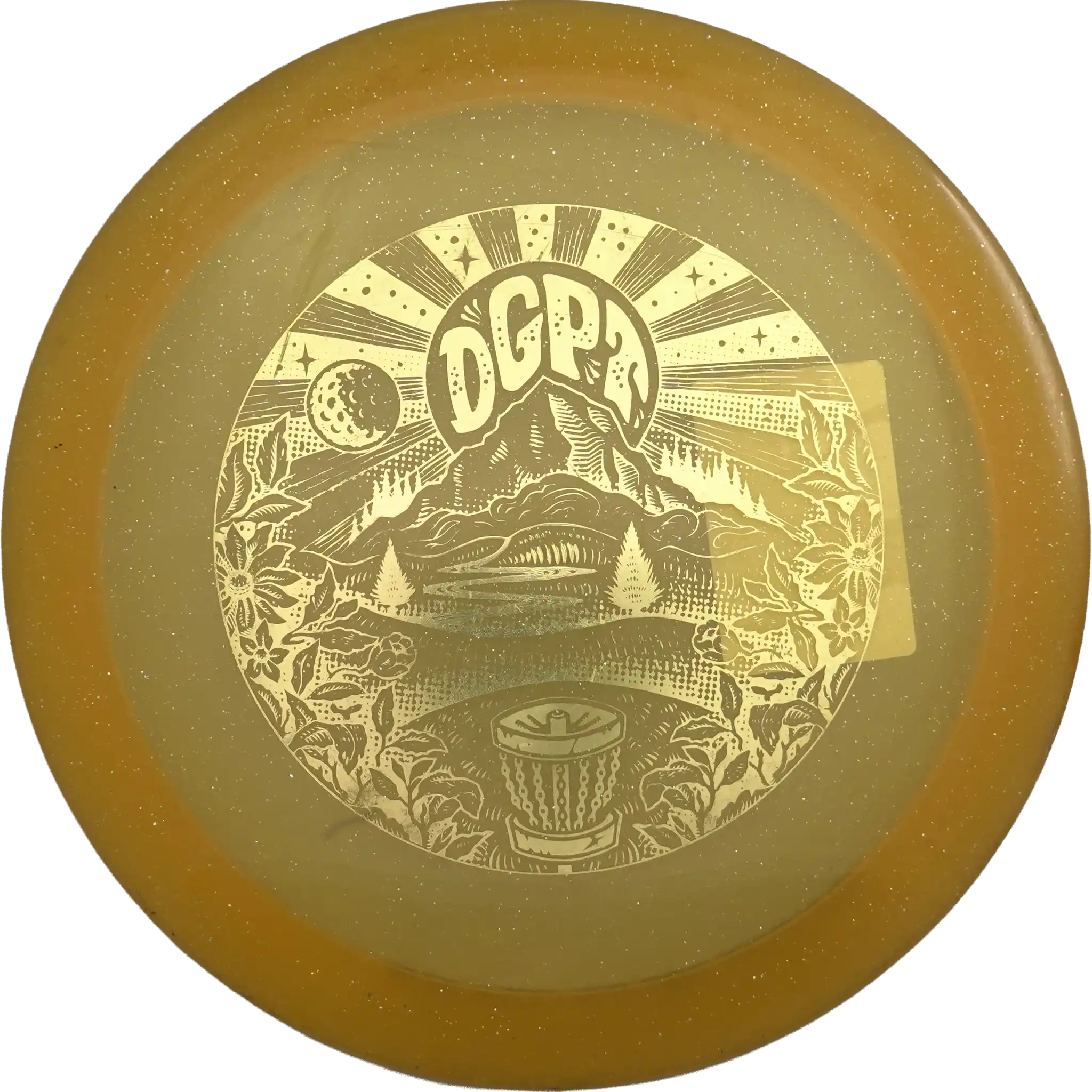 Steady Ginger - DGPT