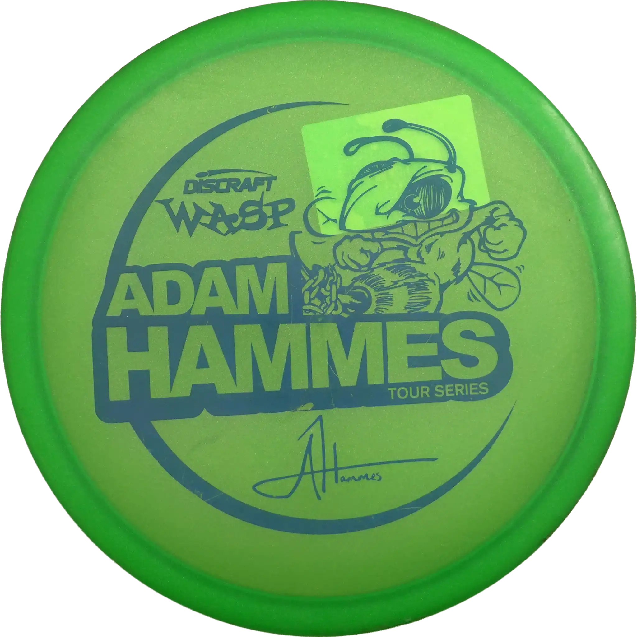 Z Wasp - Adam Hammes