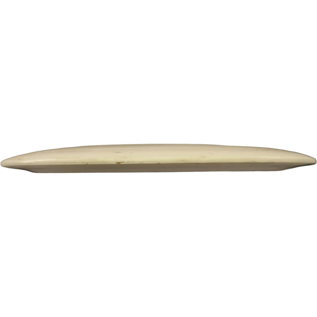 Fuzion Raider