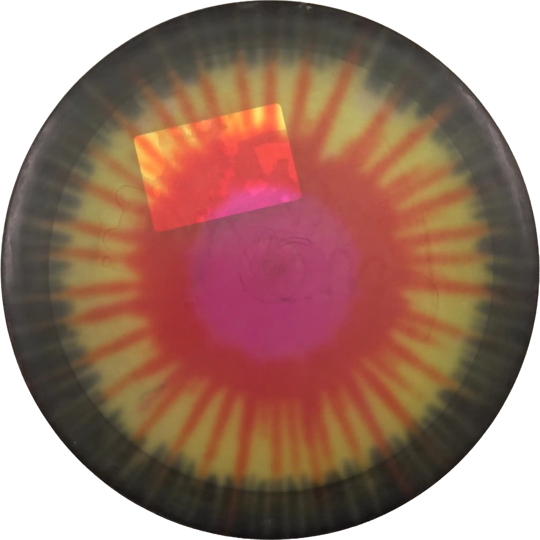 Champion Thunderbird - Dyed