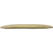 Star Tern