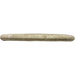 Active Maestro