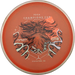 Proton Hex - PDGA Champions Cup