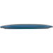 Champion Thunderbird