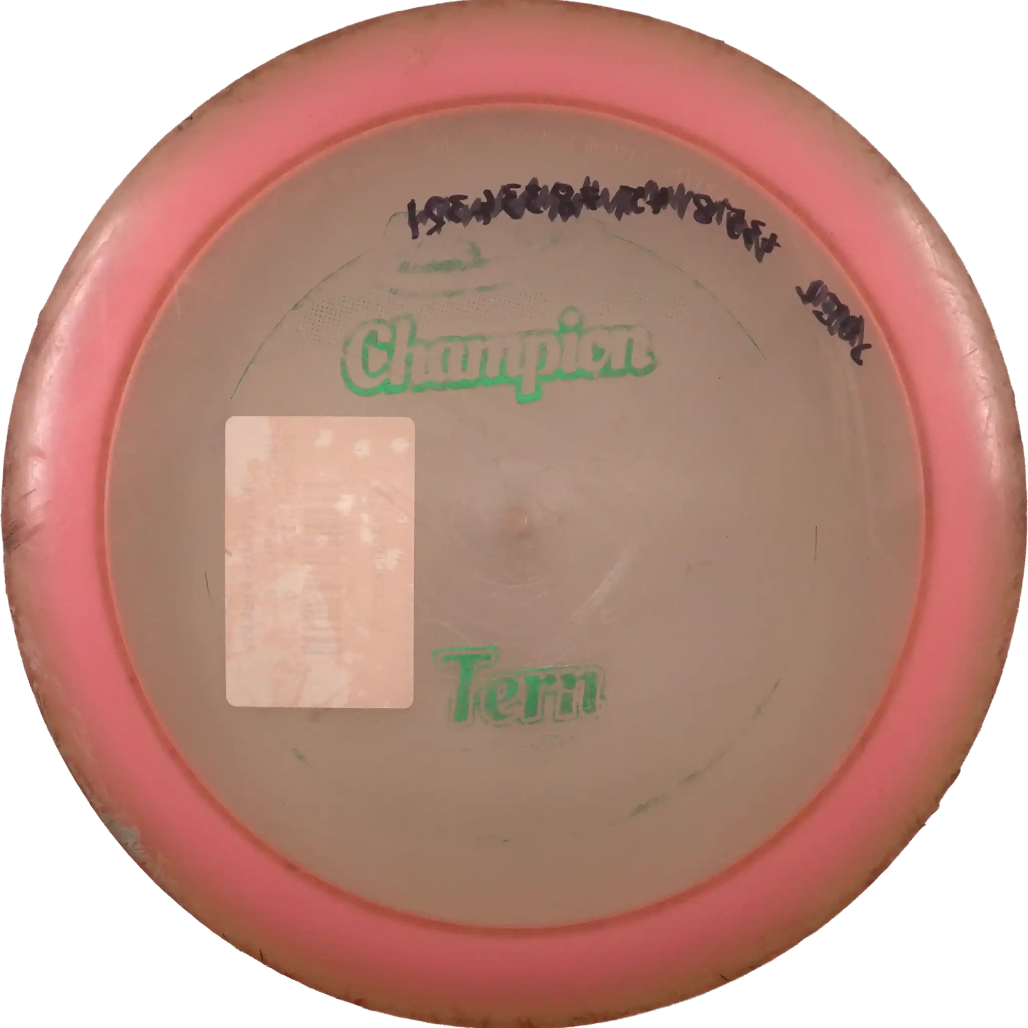 Champion Tern
