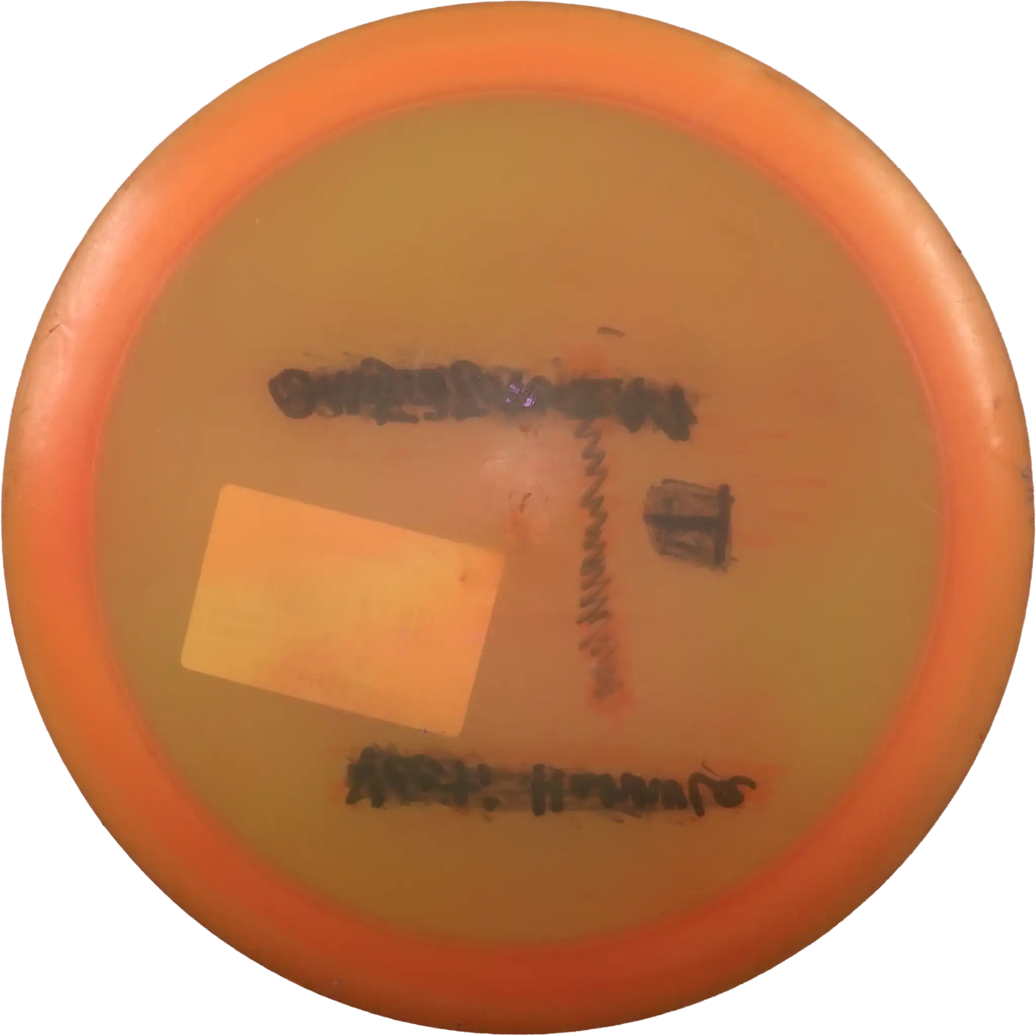 Champion Sidewinder