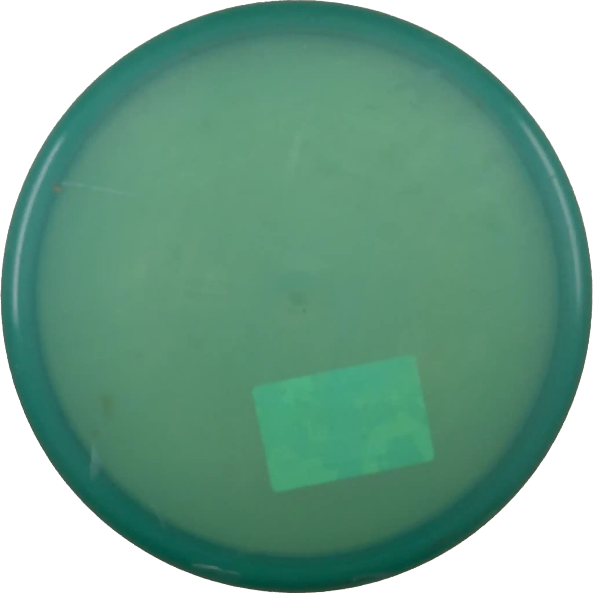 Champion Spider - PFN
