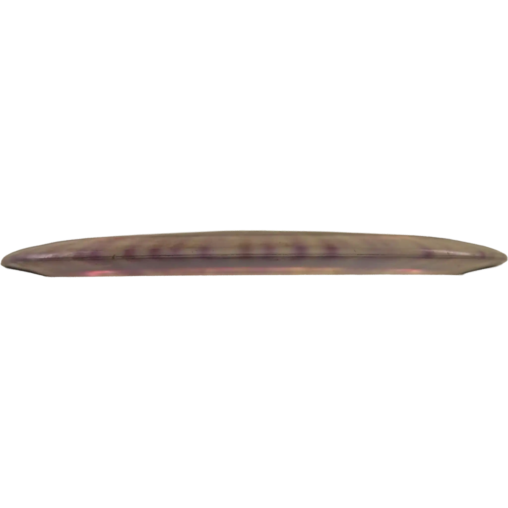 Champion Beast - Dyed