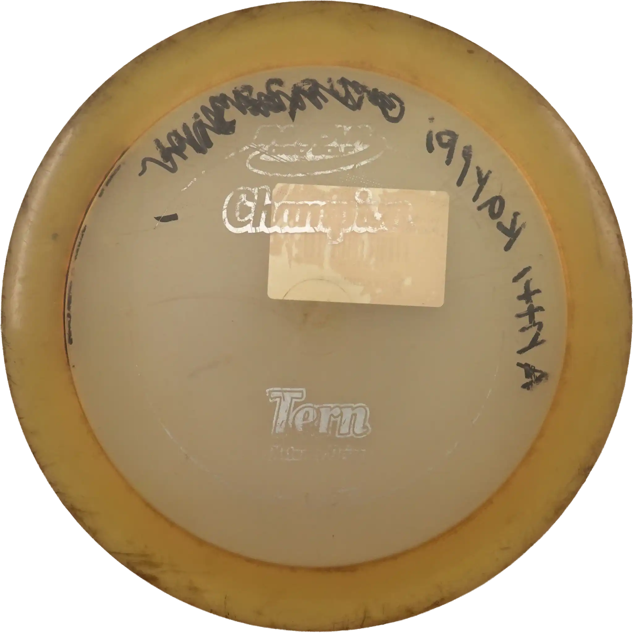 Glow Champion Tern