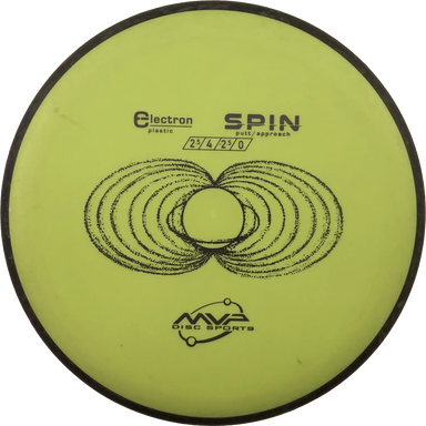 Electron Spin