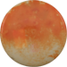 Neo Spore - Dyed