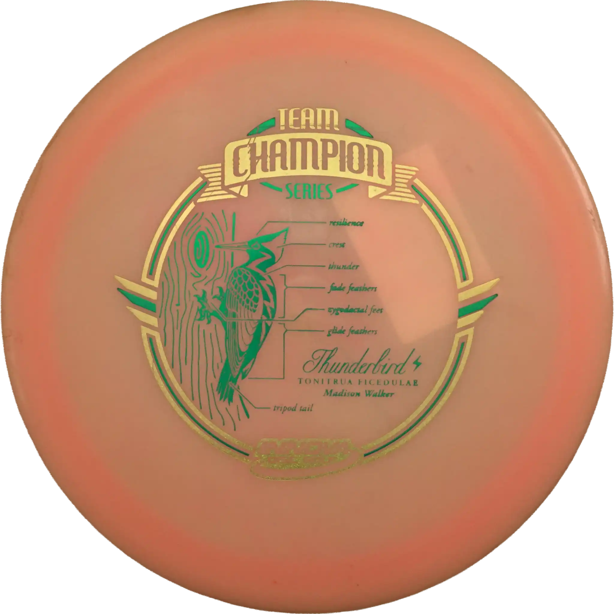 Color Glow Champion Thunderbird - Maddison Walker