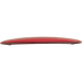 Star Tern