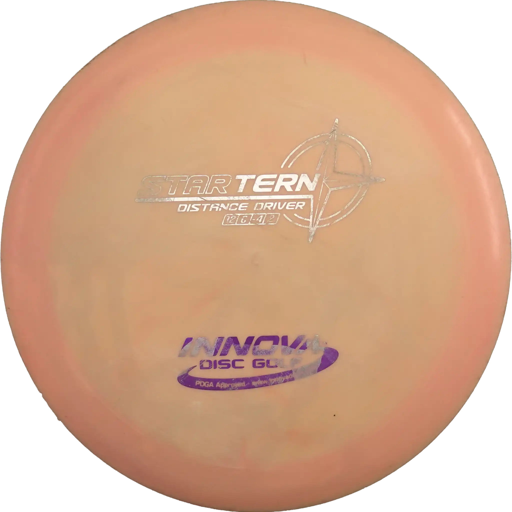 Star Tern