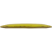 Fuzion Raider
