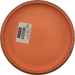 DX Aviar - Halloween