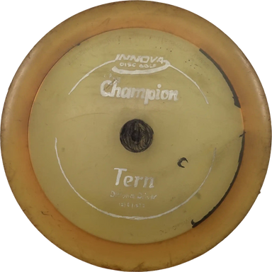Champion Tern