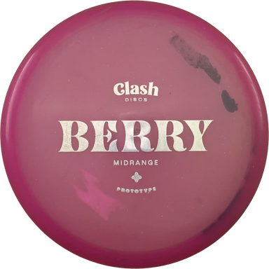 Steady Berry - Prototype