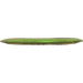 Proton Insanity