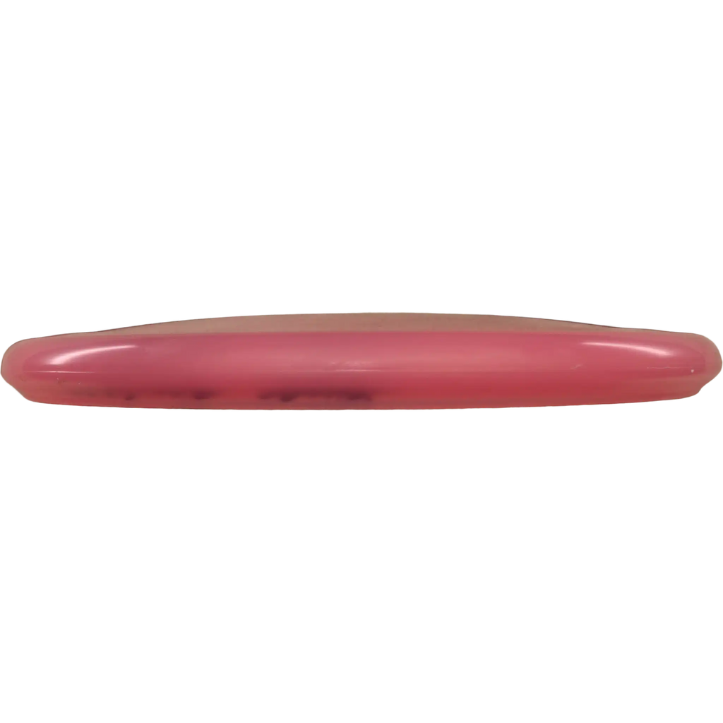 Champion Rhyno
