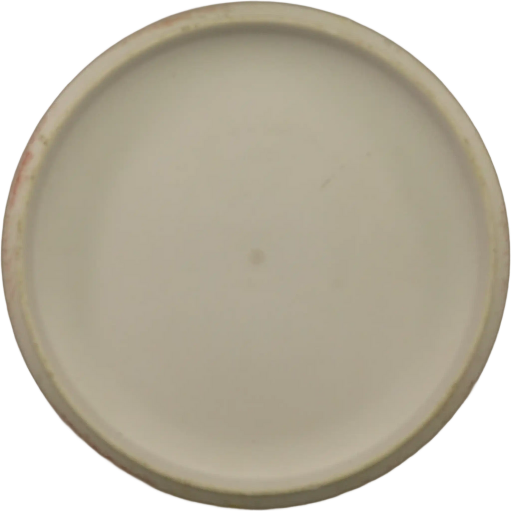 Flex 2 D-Line P1X - Team Discmania