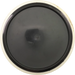 R2 Neutron Resistor