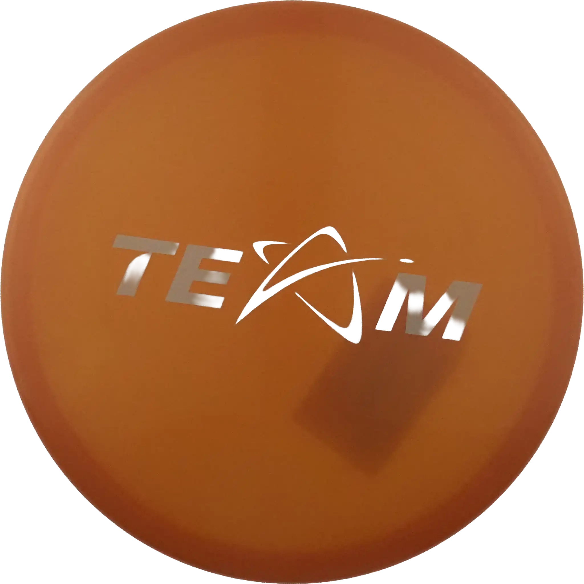 500 MX2 - Team Prodigy