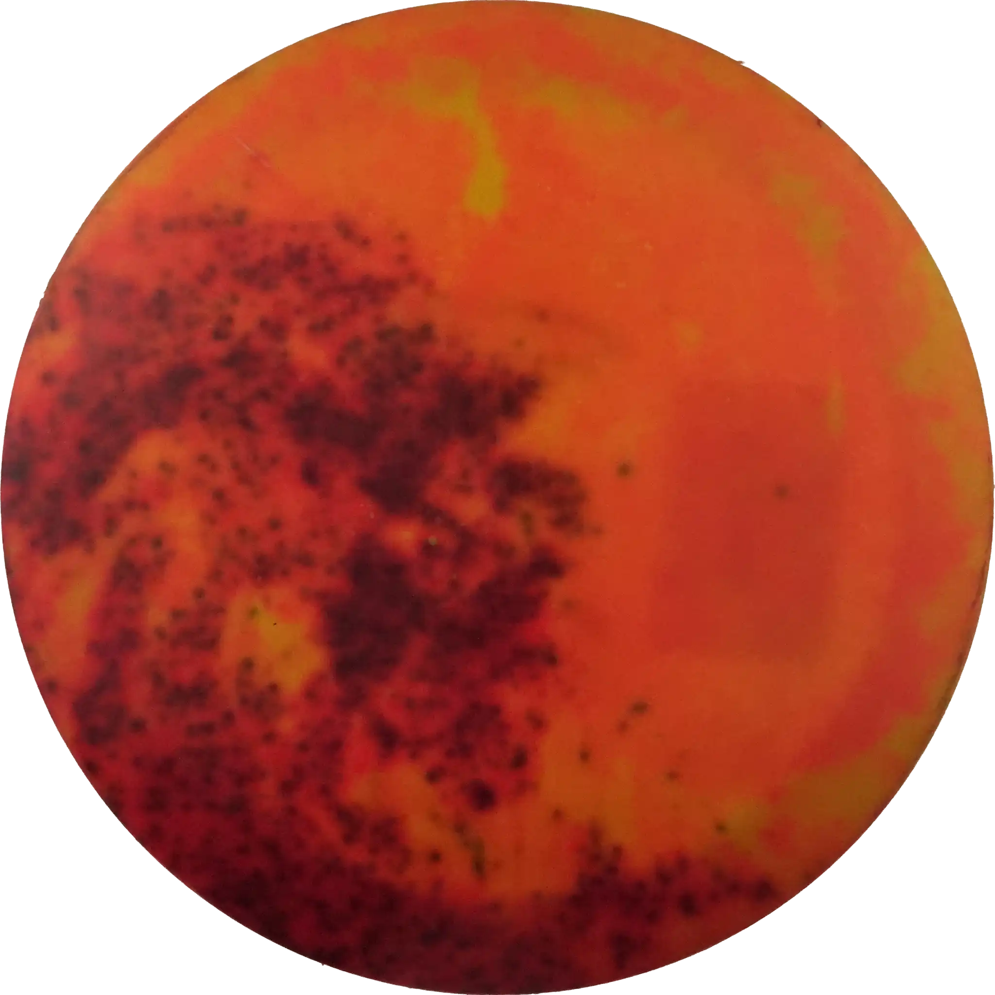 Star Wraith - Bottom Stamp