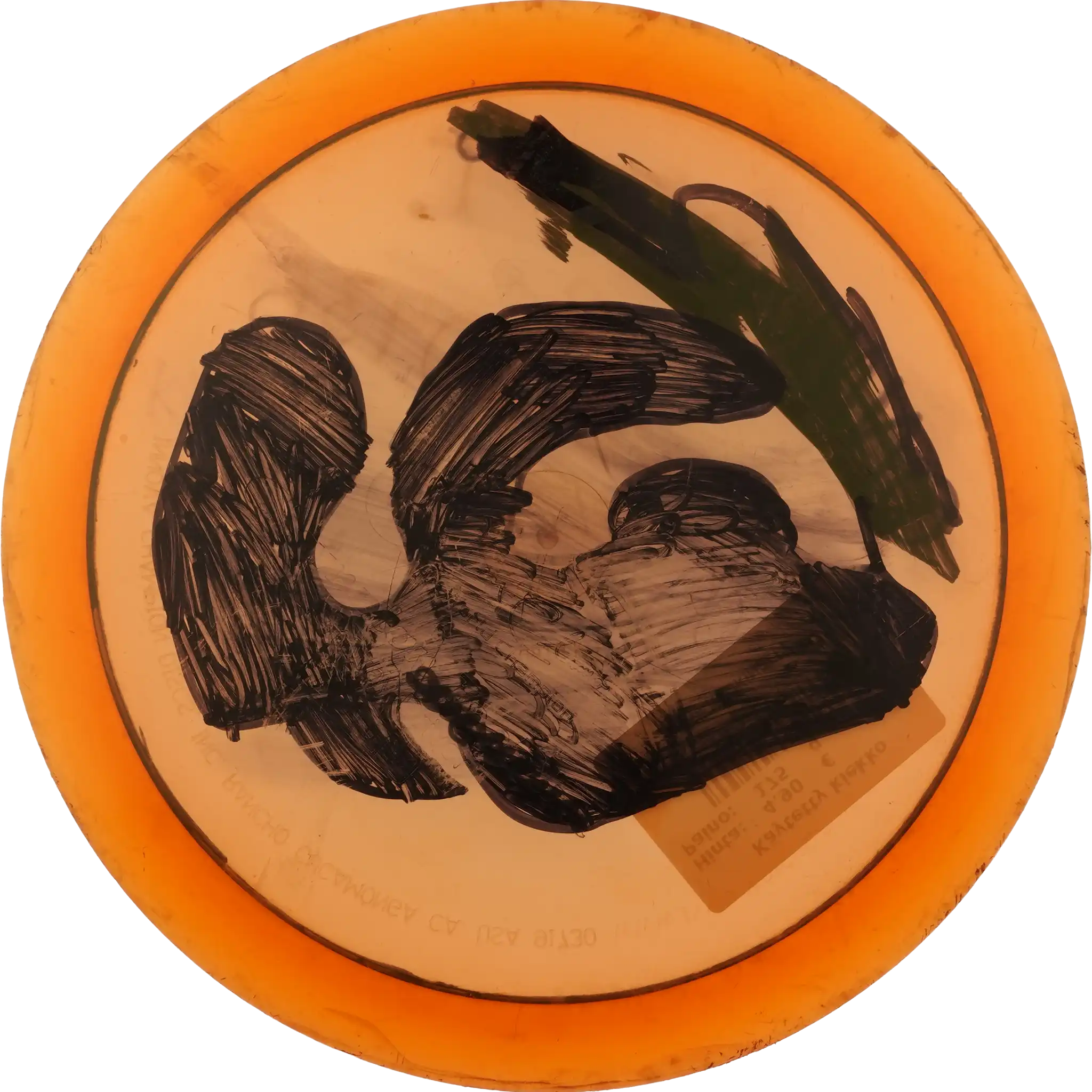 Champion Teebird - Ken Climo