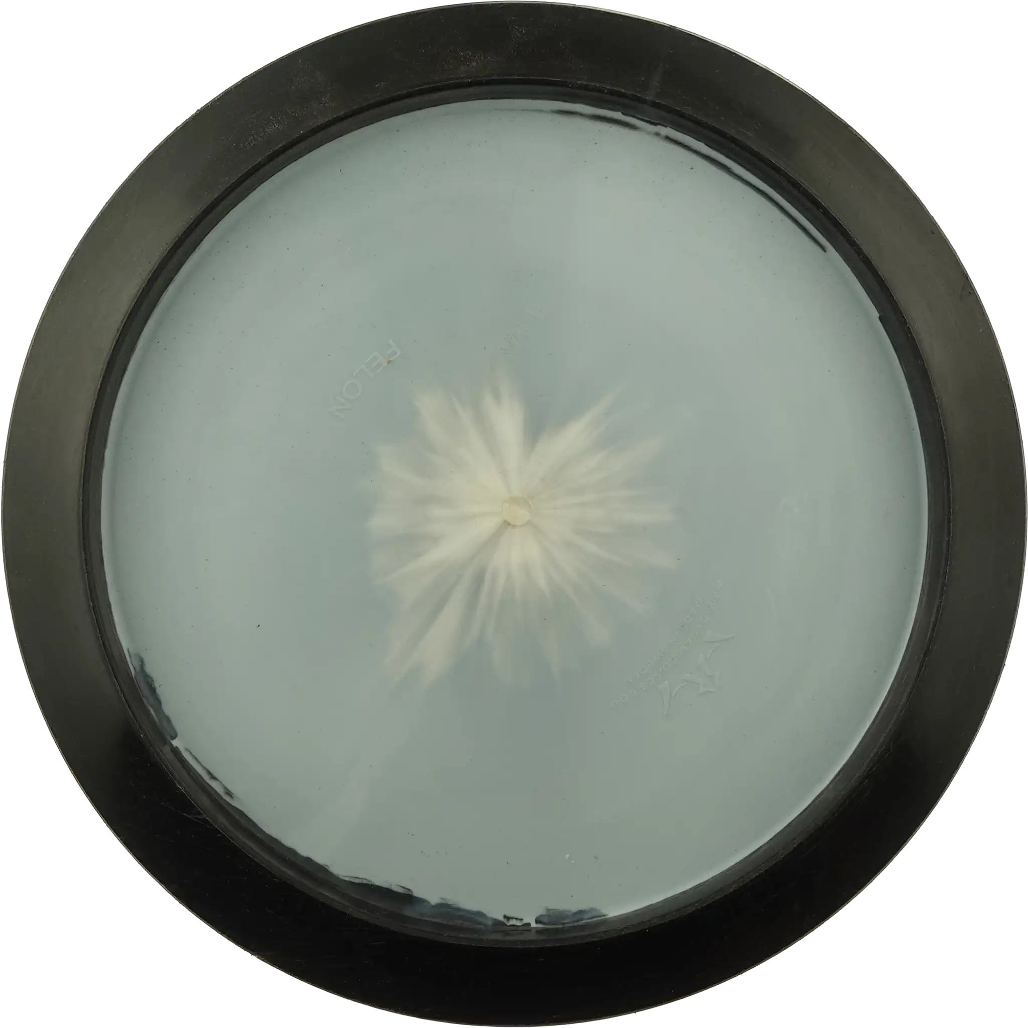 Fuzion Orbit Felon - Ricky Wysocki